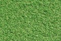 60820 Auhagen Scatter material light green